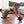 Load image into Gallery viewer, Ultra-Wide Ab Roller Wheel PROIRON