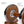 Load image into Gallery viewer, Walnut-Style Dumbbells set - 20kg Adjustable Weights set PROIRON