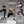 Load image into Gallery viewer, PROIRON Adjustable Ankle Weights set of 2, PU leather, 1-5lb per leg, Comfortable, Night-Safe Reflectivity
