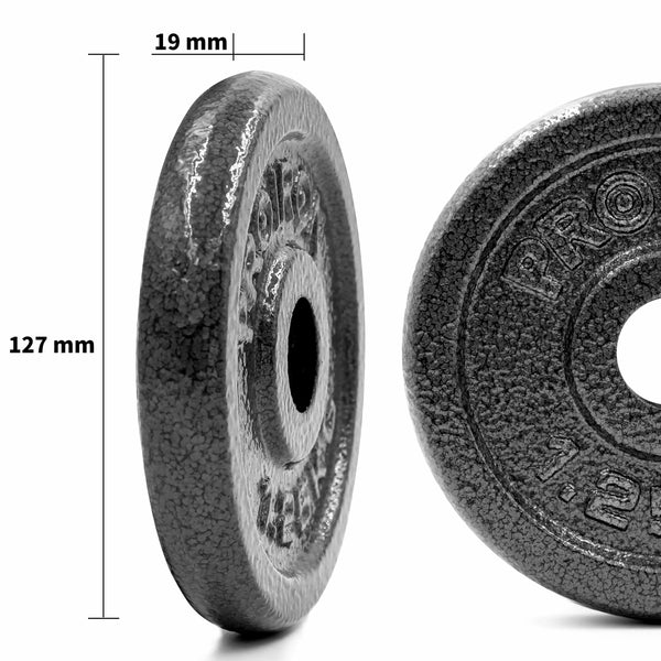 PROIRON Solid Cast Iron Weight Plate Discs-Dumbbell-PROIRON