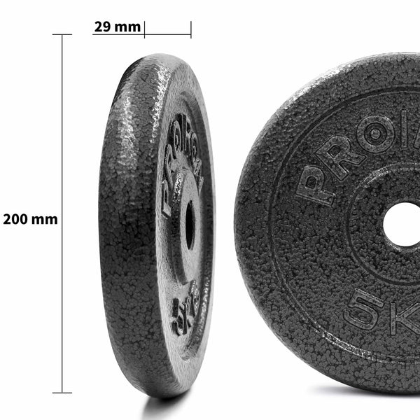 PROIRON Solid Cast Iron Weight Plate Discs-Dumbbell-PROIRON