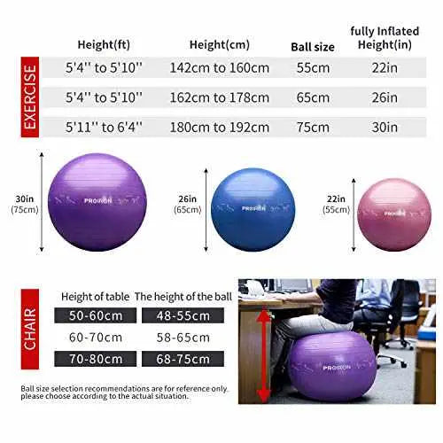 PROIRON Yoga Ball with Postures-Fitness Accessories-PROIRON